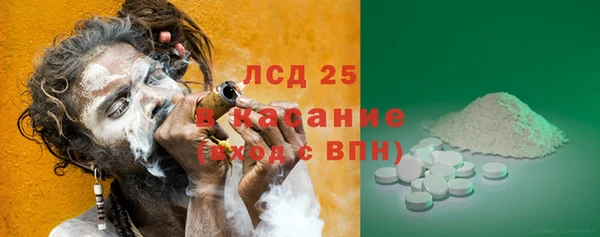 стафф Карпинск