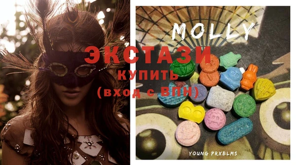 стафф Карпинск