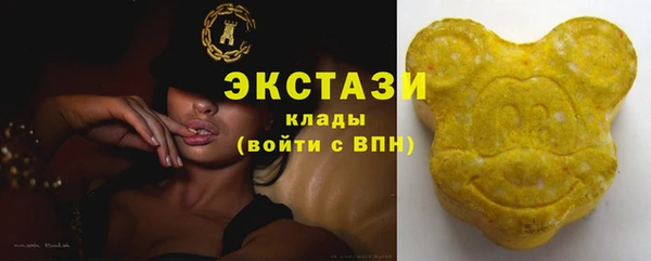 стафф Карпинск