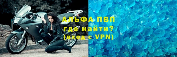 стафф Карпинск