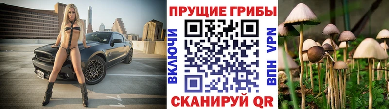 Галлюциногенные грибы GOLDEN TEACHER  KRAKEN ссылка  Сухой Лог  продажа наркотиков 