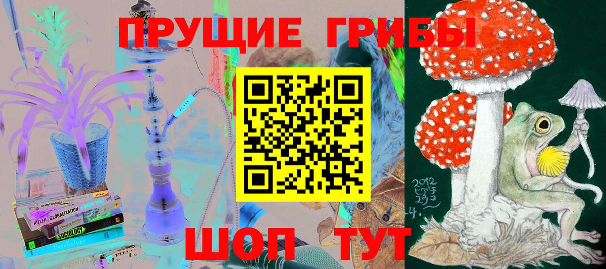 Псилоцибиновые грибы Psilocybe  Вход с VPN  Сухой Лог 