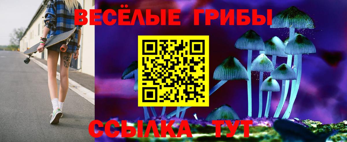 Псилоцибиновые грибы Psilocybe Сухой Лог